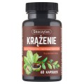 Skoczylas Krążenie 60 kaps. Ruszczyk, Diosmina, Kasztanowiec